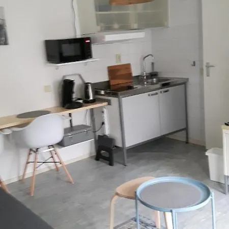 Holiday home Tuinhuis *